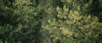 Silent Zone (2025) download