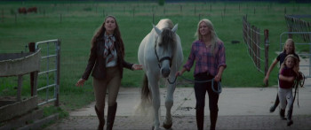 Silverstar (2022) download