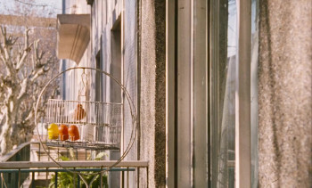 Silvia Prieto (1999) download