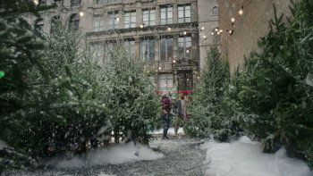 Single on the 25th (2025) download