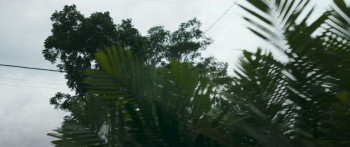 Singsot (2025) download