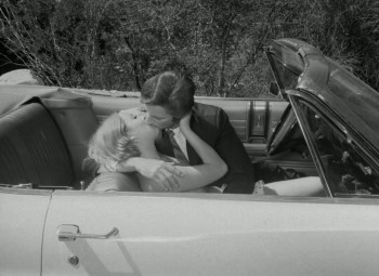 Sisters in Leather (1969) download