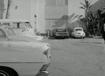 Sisters in Leather (1969) download