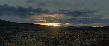 Sisu (2022) download