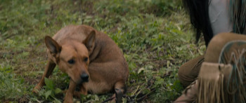 Prey (2022) download