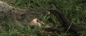 The Mountain of the Cannibal God (1978) download