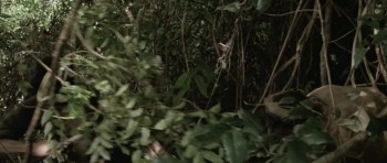 The Mountain of the Cannibal God (1978) download