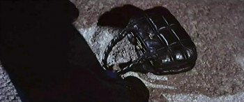 The Young Tiger (1973) download