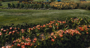 Soft Liquid Center (2023) download