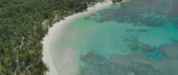 Something in the Water (2024) download