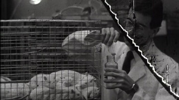 Soup for One (1982) download