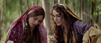 Sour Apples (2016) download