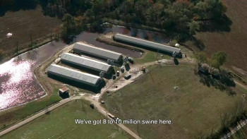 Soyalism (2018) download