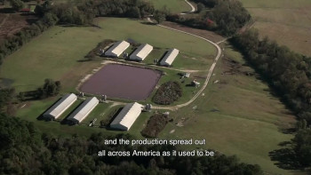 Soyalism (2018) download