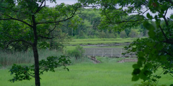 Space Oddity (2022) download