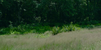 Space Oddity (2022) download