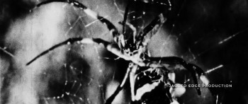 Spiders on a Plane (2024) download