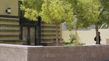 Spivak (2018) download