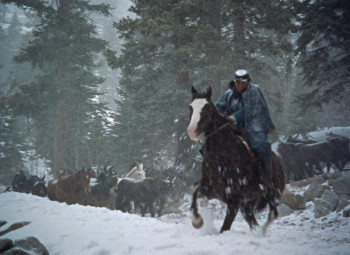 Springfield Rifle (1952) download