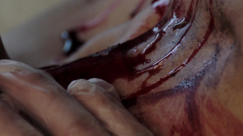 Squealer (2023) download