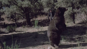 Stargames (1997) download