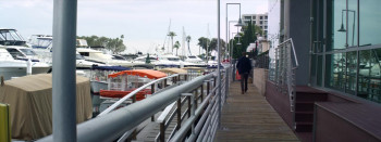 Still Here (2023) download