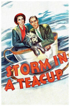 Storm in a Teacup (1937) download