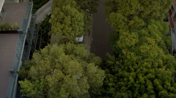 Straight (2023) download