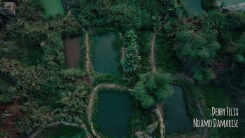 Strangers (2022) download