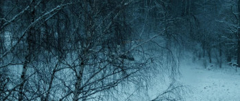 Succubus (2024) download