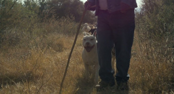 Sujo (2024) download