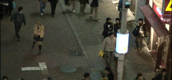 Yo-Yo Sexy Girl Cop (2006) download