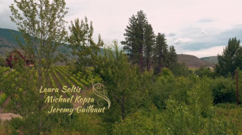 Summer in the Vineyard (2017) download