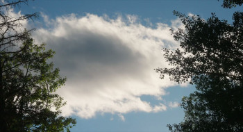 Summer Qamp (2023) download