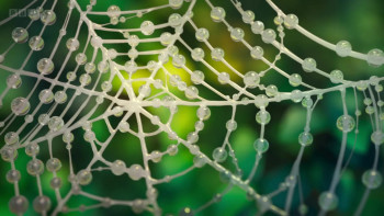 Superworm (2021) download