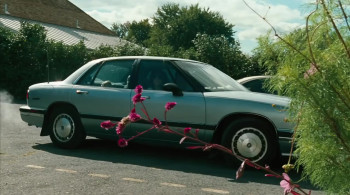 Surviving My Mother (2007) download