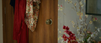 suSHEELA - suJEET (2025) download