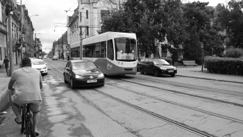 Swamp City (2021) download