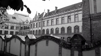 Swamp City (2021) download