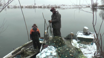 Swamp Dialogues (2015) download