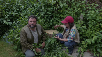 Swede Caroline (2024) download