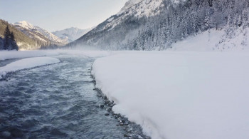 Tagebuch einer Biene (2020) download