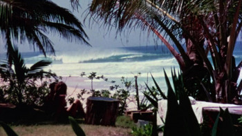 Take Every Wave: The Life of Laird Hamilton (2017) download