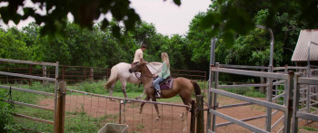 Take My Hand (2024) download