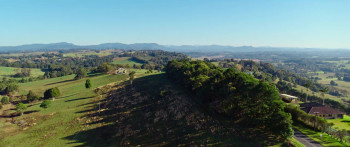 Take My Hand (2024) download