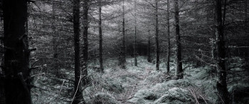 Tales from Black Manor (2025) download