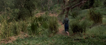 Tammy and the Bachelor (1957) download