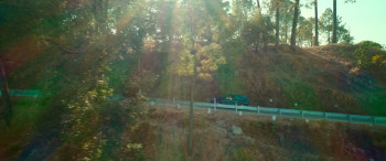 Tanvi: The Great (2025) download