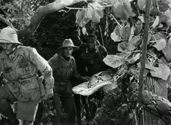 Tarzan and His Mate (1934) download