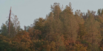 Teller's Camp (2023) download